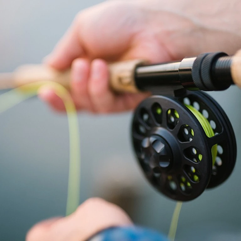 Exploring the Best Time for Gag Grouper Fishing in Florida