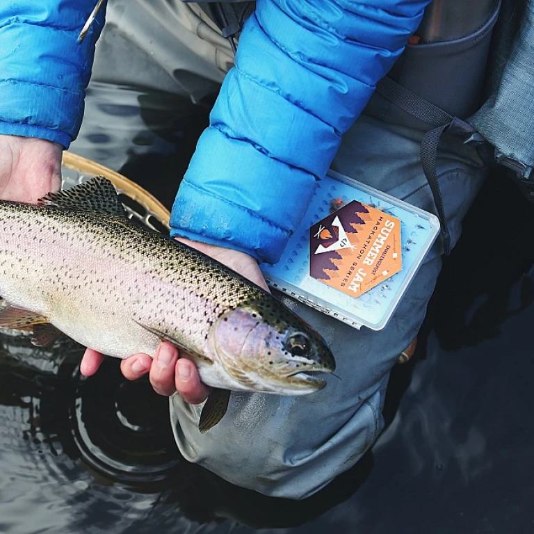 Unwrapped Secrets: What Are The Time-Honored Lures Still Outfishing The Tech-Driven Gear?