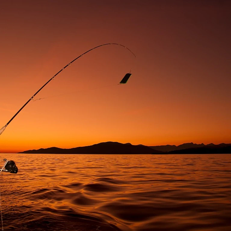 Chasing the Biggest Crappie: Tips and Gear