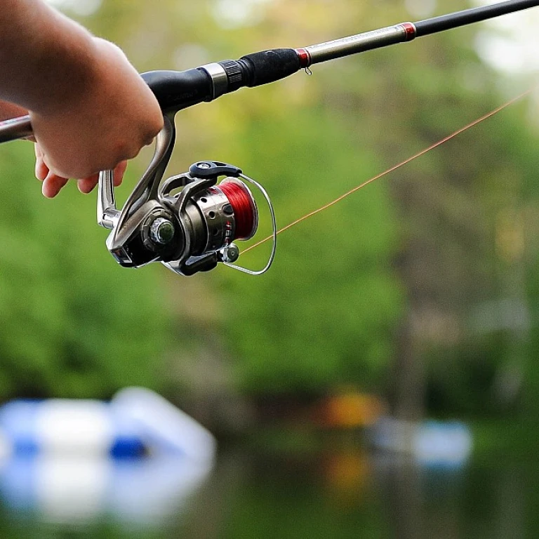 Enhancing Your Catch with Effective Crappie Jig Heads