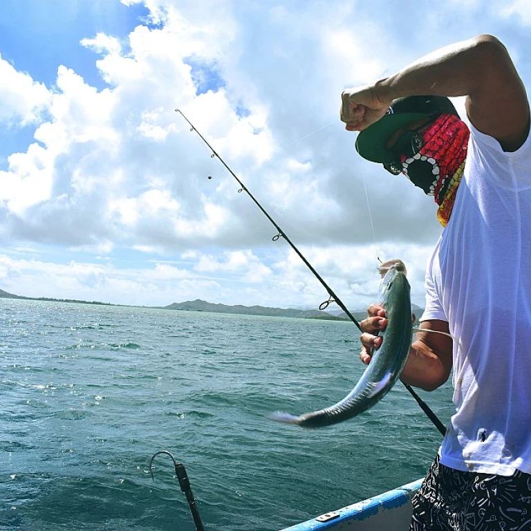 Harnessing the Power of Solar-Powered Fishing Gear