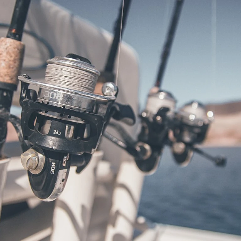 Mastering the perfect catfish setup for successful fishing