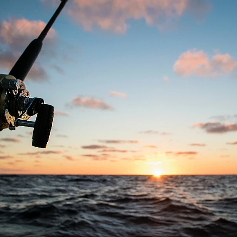 Discovering the biggest hammerhead shark ever caught