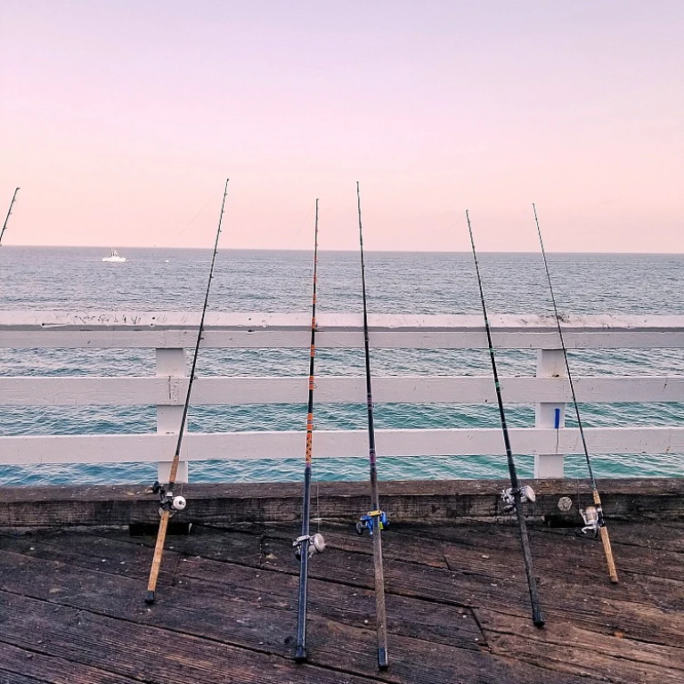 Solunar tables 2023: your guide to the best fishing times