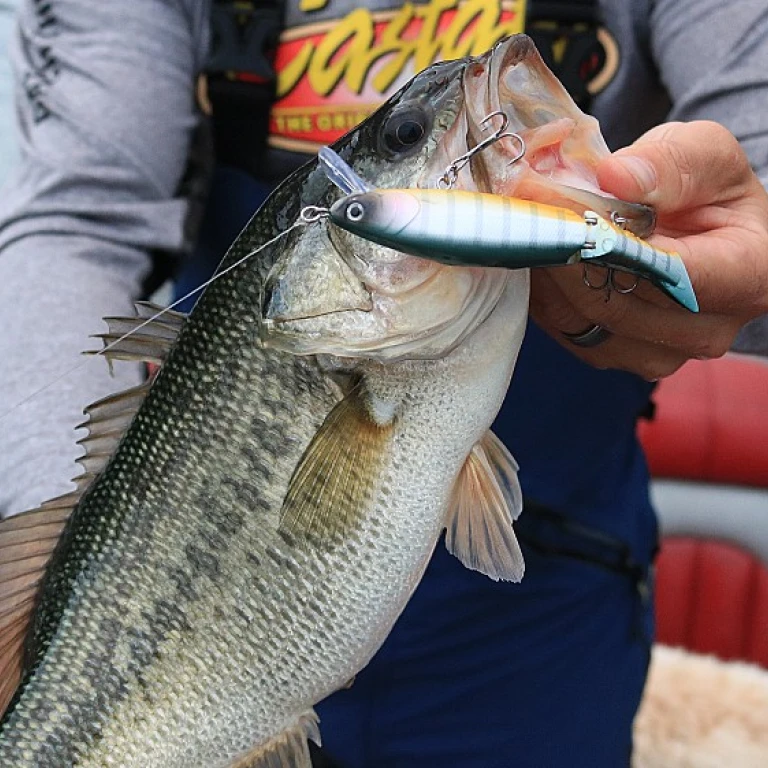 The Thrill of Catching Bull Redfish