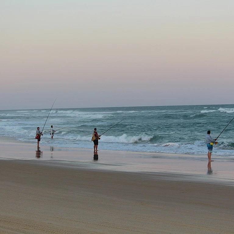 Exploring the Vibrant World of Fishing Lines