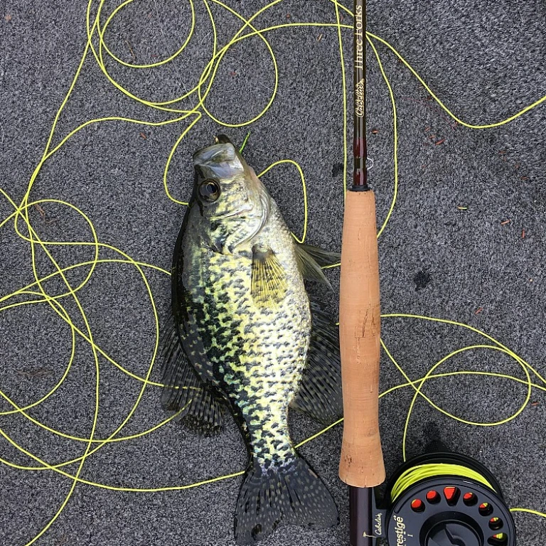 Exploring the Thrill of Offshore Fishing Boats